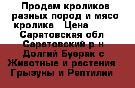 Продам кроликов разных пород и мясо кролика › Цена ­ 200 - Саратовская обл., Саратовский р-н, Долгий Буерак с. Животные и растения » Грызуны и Рептилии   